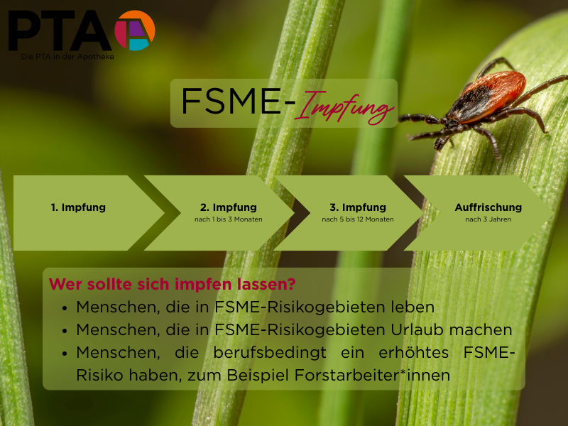 Auf einem Schaubild ist das FSME-Impfschema und die Empfehlungen für Risikogruppen aufgeschrieben.