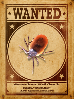 Ein Steckbrief einer Zecke im Western-Stil