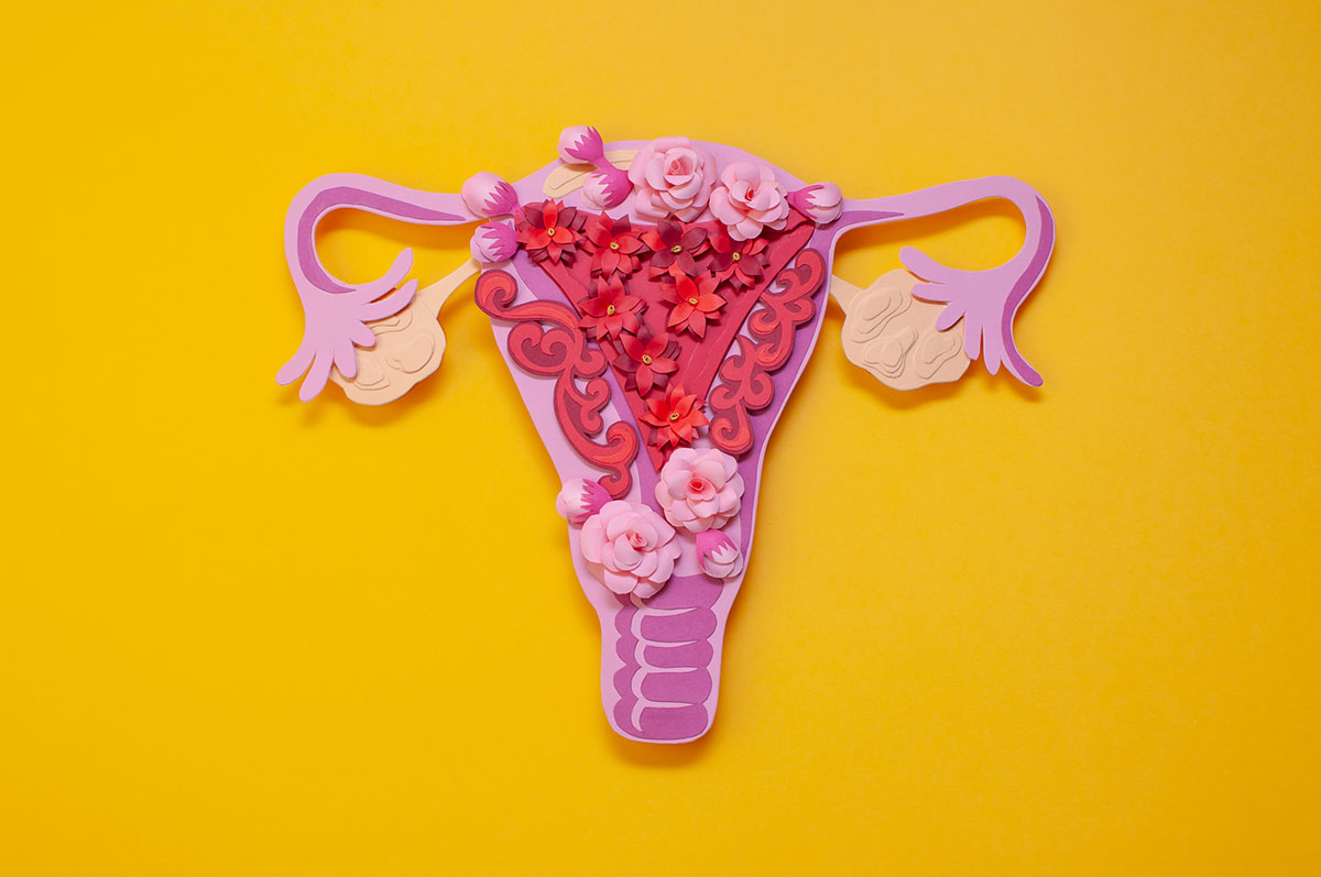 Scherenschnitt eines Uterus, der mit Papierblüten unterschiedlicher Art besetzt ist.