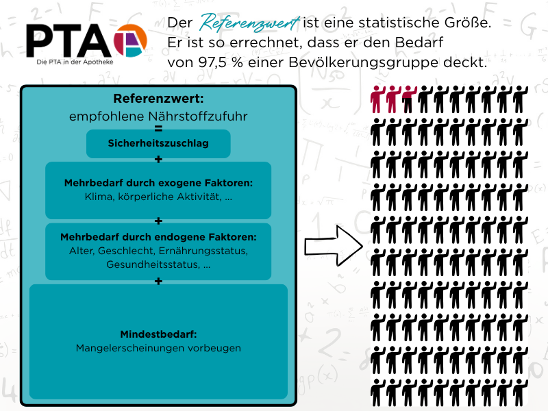 Schrift: Der Referenzwert ist eine statistische Größe. Er ist so errechnet, dass er den Bedarf von 97,5 % einer Bevölkerungsgruppe abdeckt. Darunter ein Kasten, in dem steht Referenzwert = Mindestbedarf + Mehrbedarf durch exogene + durch endogene Faktoren + Sicherheitszuschlag. Der Kasten zeigt auf 100 Menschen, von denen 97,5 schwarz gefärbt sind und 2,5 rot.