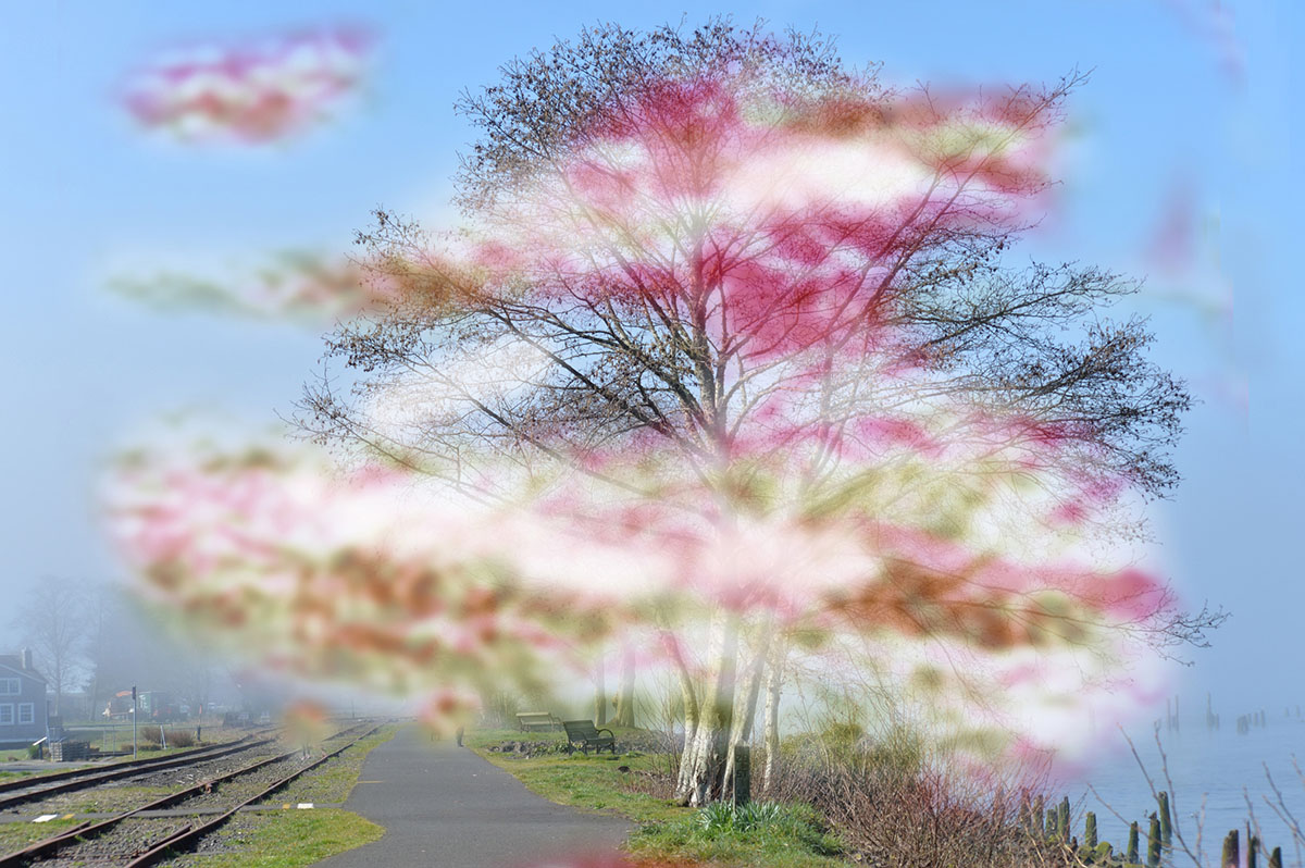 Was hinter einer MigräneAura steckt