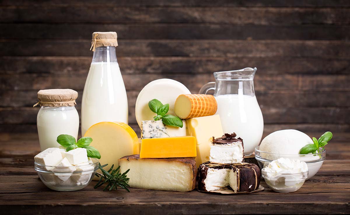Verschiedene Milchprodukte, zum Beispiel Hart- und Weichkäse, Milch, Buttermilch
