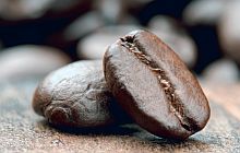 frisch geröstete kaffeebohnen