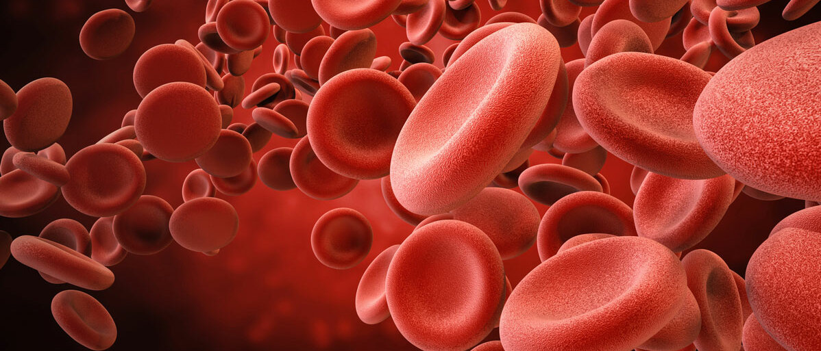 rote Blutkörperchen