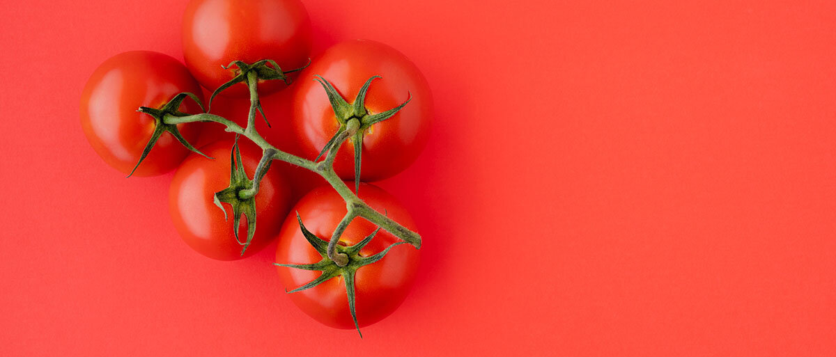 Rote Tomaten auf rotem Grund