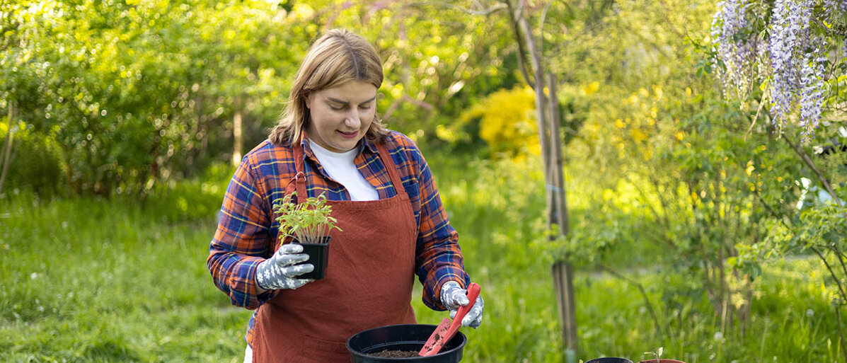 Eine Frau steht im Garten an einem Tisch und setzt junge Pflanzen in größere Töpfe.