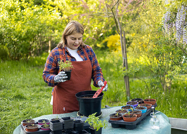 Eine Frau steht im Garten an einem Tisch und setzt junge Pflanzen in größere Töpfe.