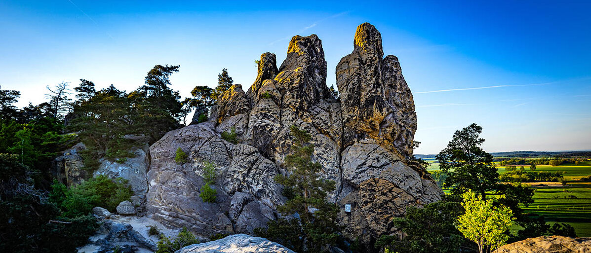 Die Teufelsmauer im Harz bei Blankenburg: Die Felsformation sieht aus wie eine Wand mit Zacken.