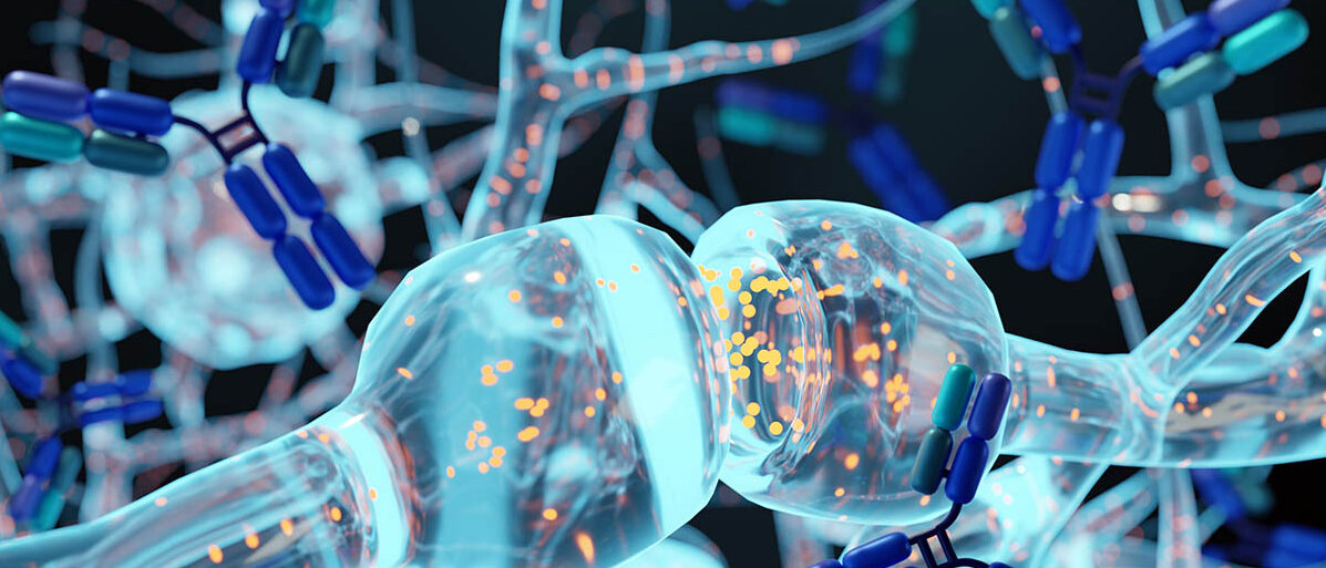 Rendering von Y-förmigen Antikörpern und Nervenzellen