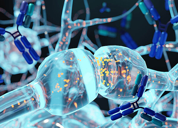 Rendering von Y-förmigen Antikörpern und Nervenzellen