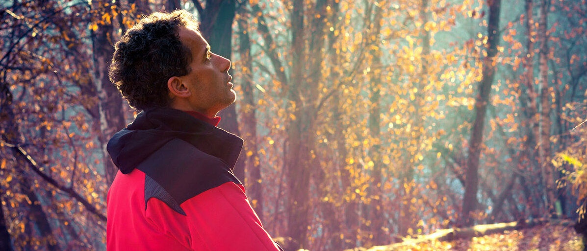 Herbstblues erkennen und vorbeugen Mann steht bei strahlendem Sonnenschein im Wald und schaut nach oben