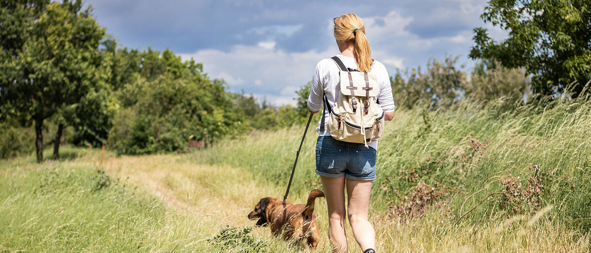 Eine Frau in kurzen Hosen läuft mit ihrem Hund über eine ungemähte Wiese.