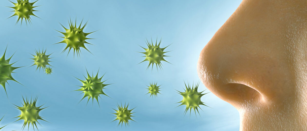 Viren fliegen zur Nase