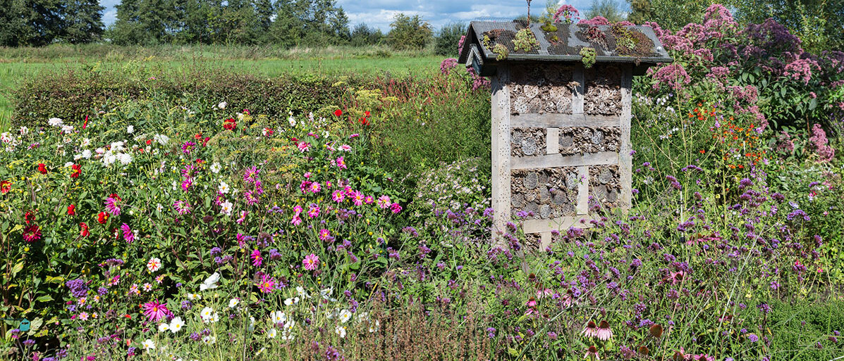 Bunter Garten und ein Bienenhotel