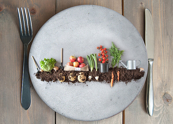 Mini Garten-Beet auf Teller