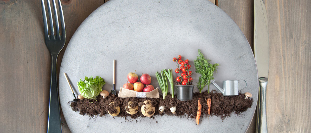 Mini Garten-Beet auf Teller