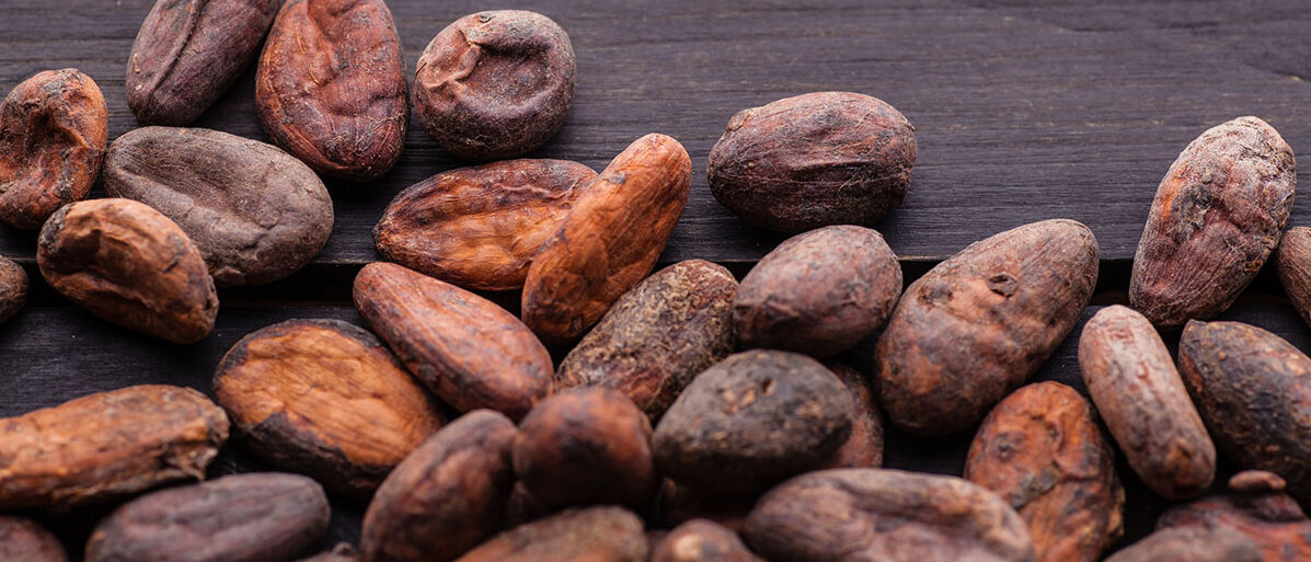 Rohe Kakaobohnen auf dunklem Hintergrund