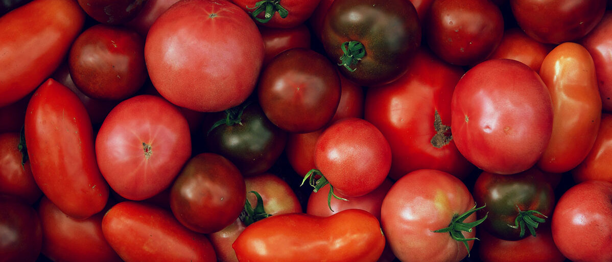 verschiedene rote Tomaten