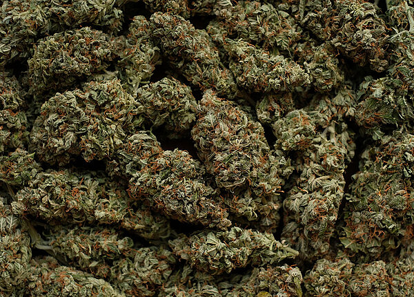 Neues Spargesetz in Kraft Cannabisblüten