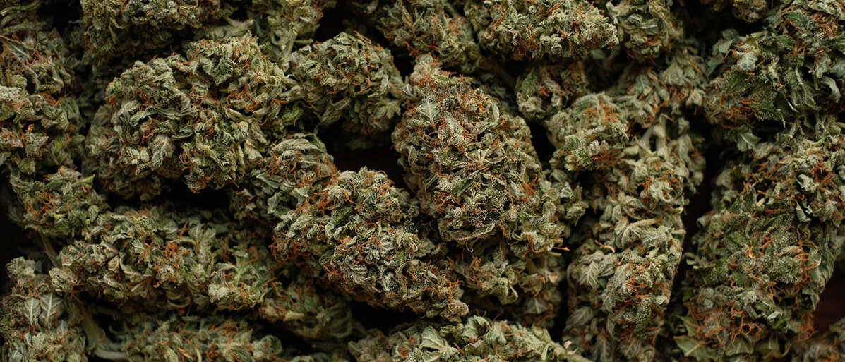 Neues Spargesetz in Kraft CannabisblĂŒten