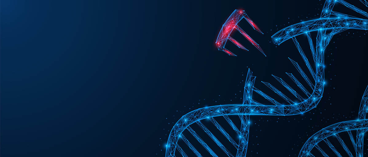 Aus einem blauen DNA-Strang ist ein rotes Stück herausgebrochen.