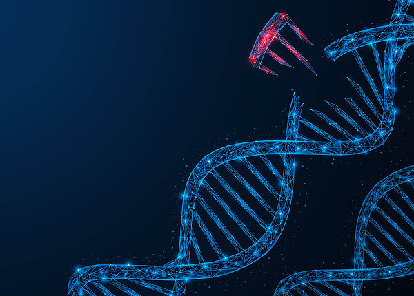 Aus einem blauen DNA-Strang ist ein rotes Stück herausgebrochen.