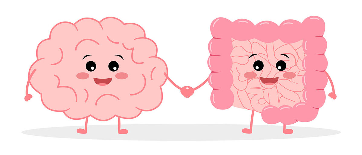 Illustration: Hirn und Darm mit freundlichen Gesichtern halten Händchen 