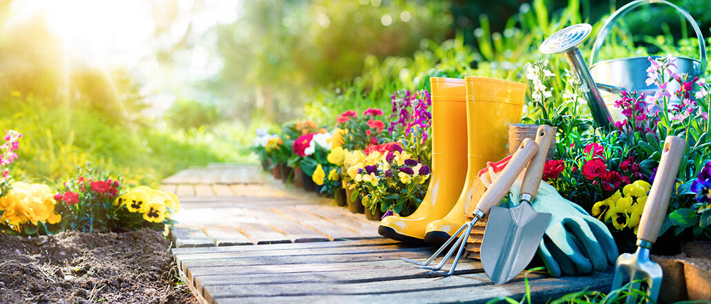 Blumenbeet in einem sonnigen Garten