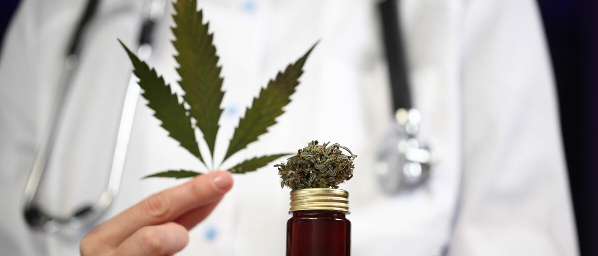 Arzt hält Cannabis Pflanze und getrockneten medizinischen Cannabis in der Hand