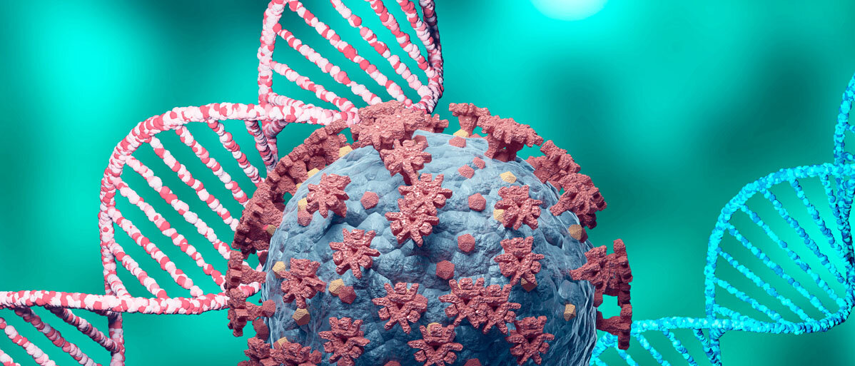Eine Illustration eines kugelförmigen Virus mit Oberflächenstrukturen, daneben zwei Erbgut-Helices.