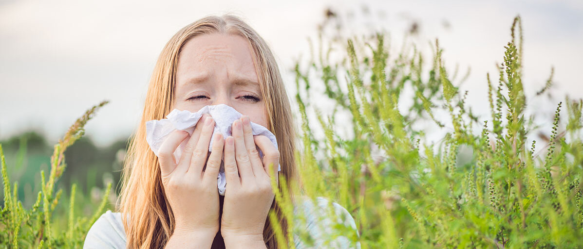Junge Frau hält Taschentuch an die Nase und muss niesen. Sie steht in einem Ambrosia Feld