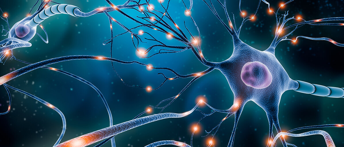 Ein Axon während der neuronalen Aktionspotenzialübertragung