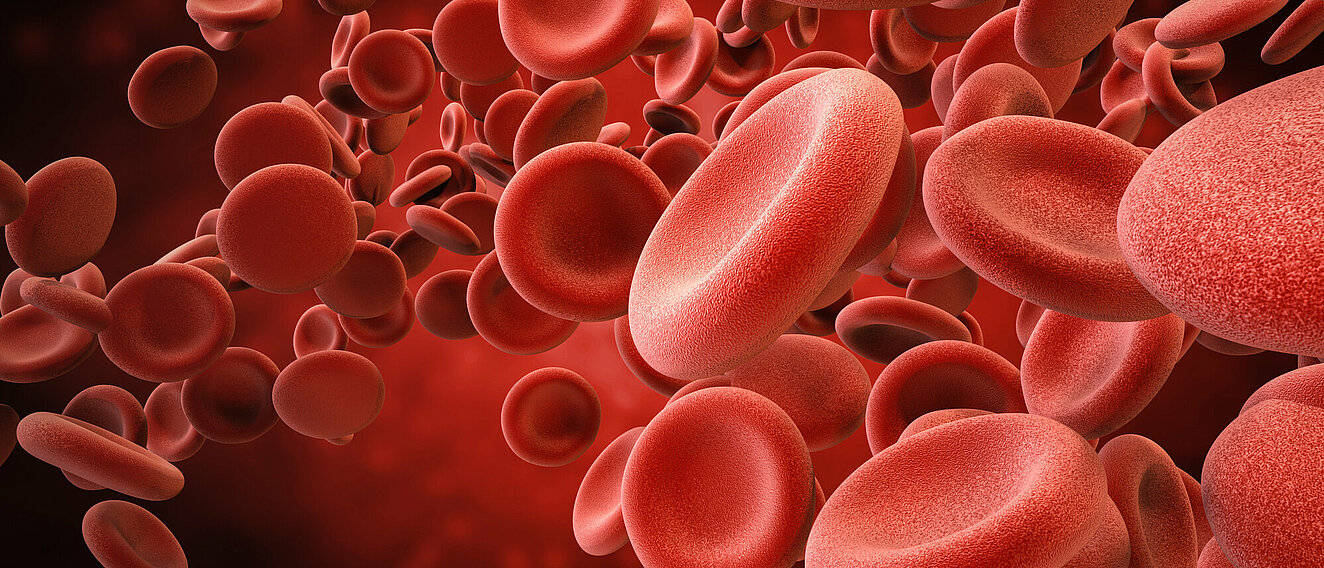 rote Blutkörperchen in einem Gefäß