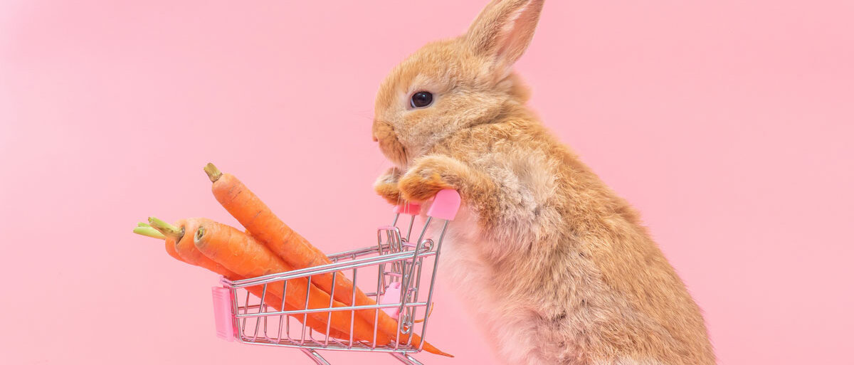 Ein niedliches Kaninchen schiebt einen kleinen Einkaufswagen, darin liegen Möhren.