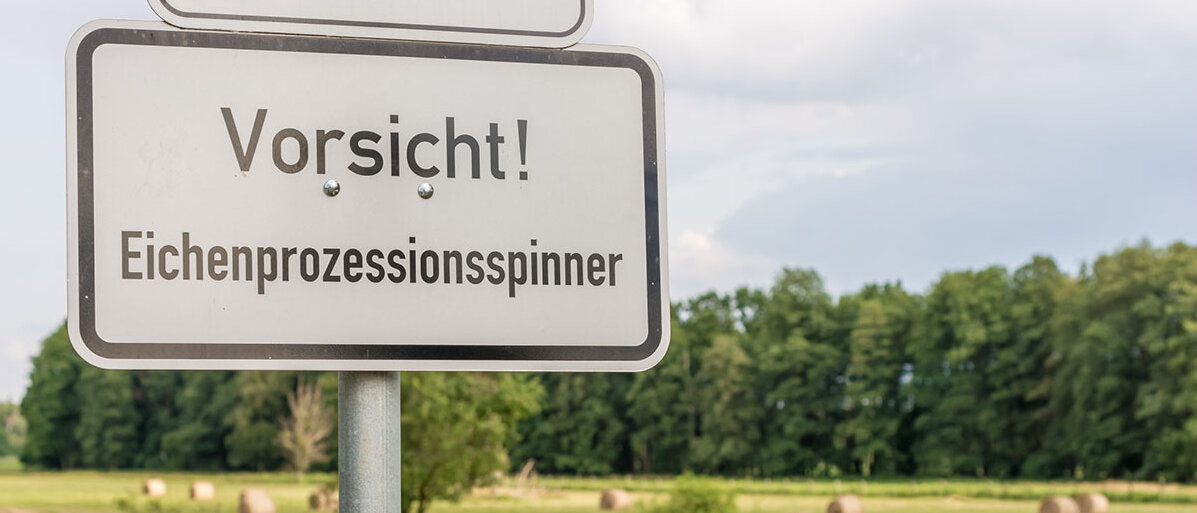 Vorsicht vor dem Eichenprozessionsspinner Schild mit „Vorsicht! Eichenprozessionsspinner“