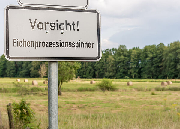 Vorsicht vor dem Eichenprozessionsspinner Schild mit „Vorsicht! Eichenprozessionsspinner“