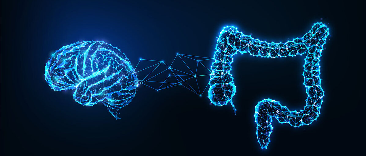 Wie Psyche, Mikrobiom und Ernährung zusammenhängen Futuristisches Darm-Hirn-Verbindungskonzept mit leuchtend niedrigem polygonalem menschlichem Gehirn und Darm