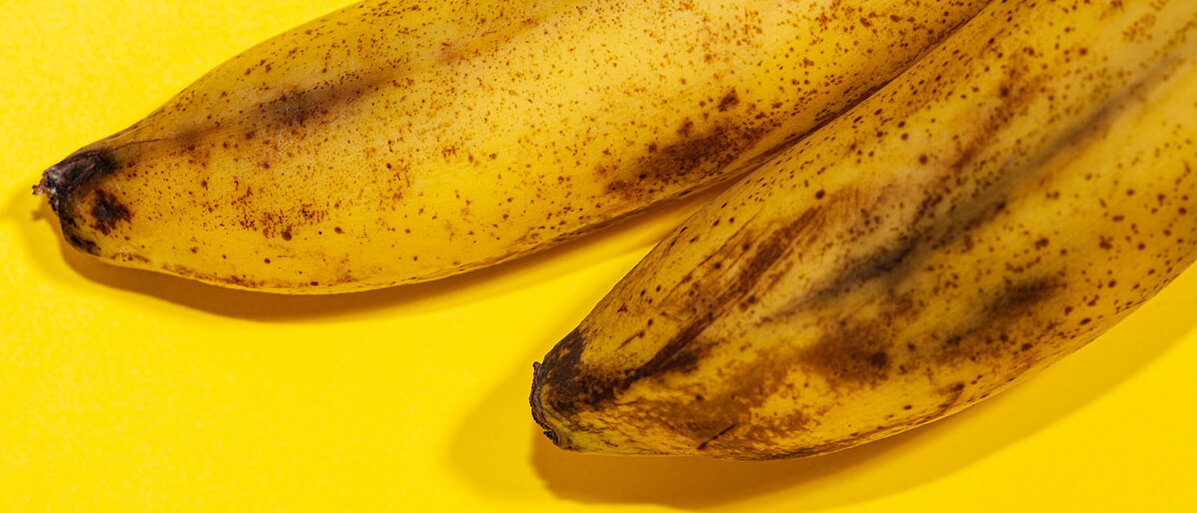 Nahaufnahme: zwei reife Bananen mit Flecken