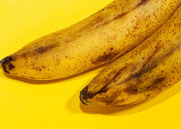 Nahaufnahme: zwei reife Bananen mit Flecken