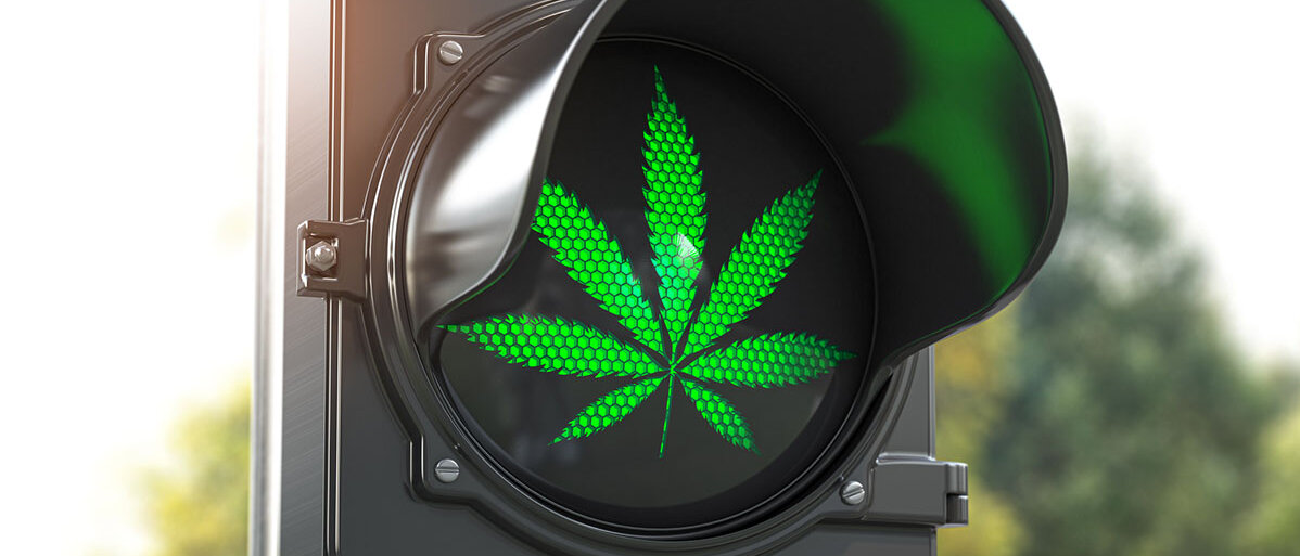 Grünes Cannabisblatt in Teil einer Ampel abgebildet
