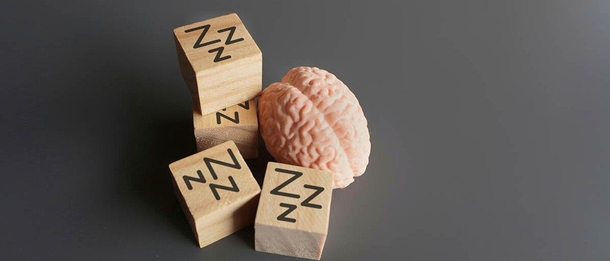 Ein kleines Modell eines Gehirns, daneben liegen Holzwürfel, auf die mehrere Buchstaben Z aufgemalt sind.