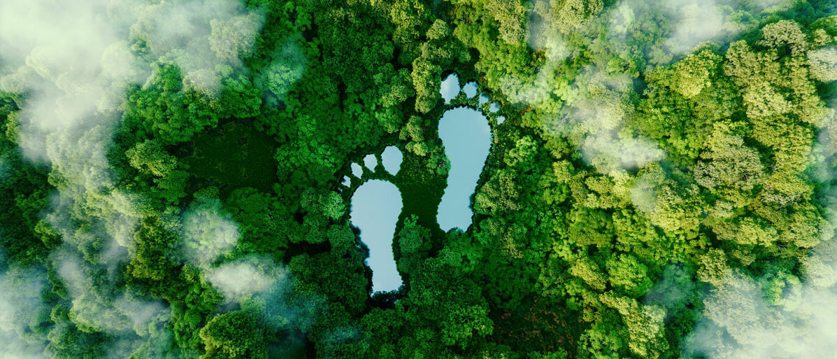 Ein Luftbild zeigt einen dicht begrünten Wald. Zwei Seen haben die Form von Fußabdrücken.