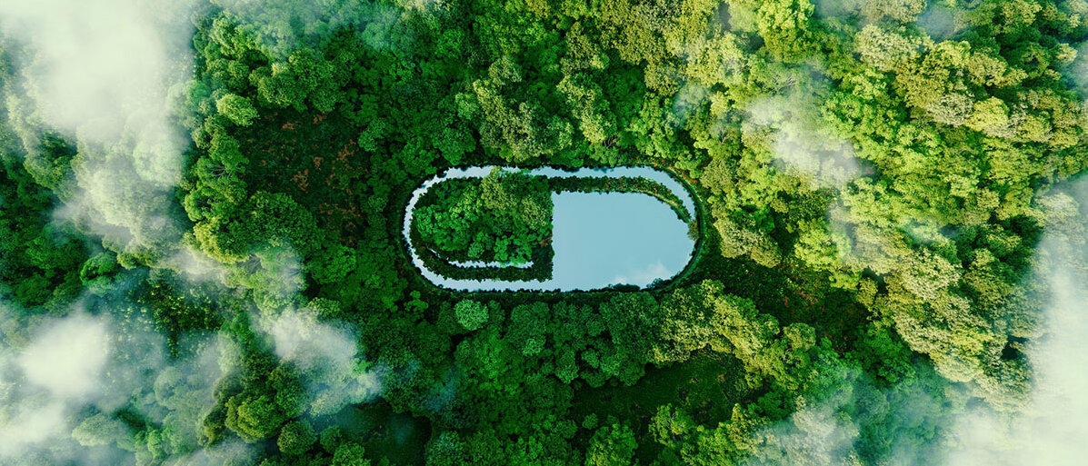 Ein Wald aus Vogelperspektive: Zwischen den Bäumen bildet eine Wasseransammlung die Form einer Medikamentenkapsel.