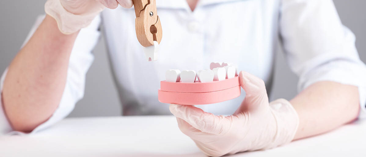 Eine Zahnärztin zieht mit einer Zange aus Holz einen Zahn aus einem ebenfalls hölzernen Kiefer-Modell. Zähne, Zahnfleisch und Zange sind abgerundet und sehen nicht abschreckend aus.