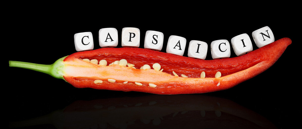 Eine Chilischote, auf der in Buchstabenwürfeln Capsaicin steht