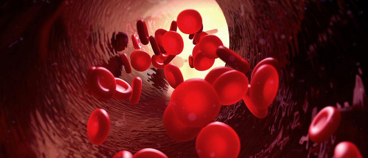 Rote Blutkörper liegen im Blutgefäß