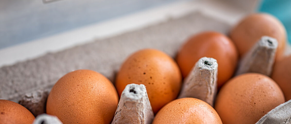 Nahaufnahme eines Eierkartons mit braunen Eiern