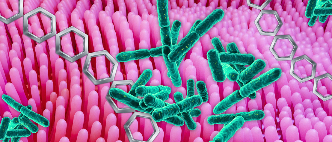 ketogene Diät: Effekt auf die Darmbakterien, mögliche Darmprobleme Bifidobakterien umgeben von Darmzotten und Kohlenhydratketten