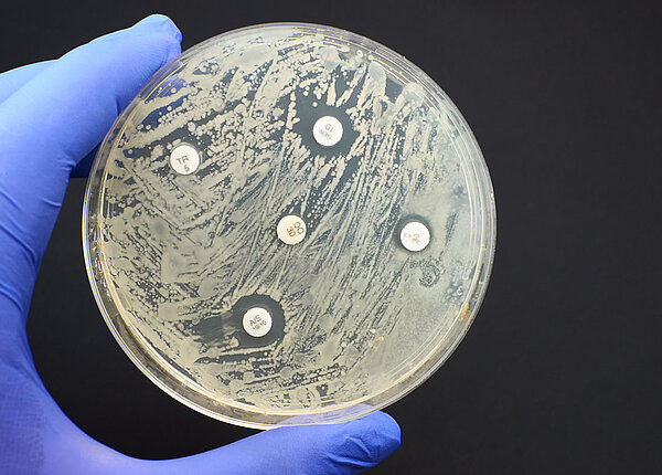 Fachmedium für PTA diepta.de