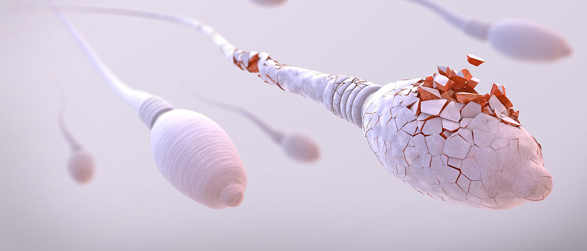 Pille für den Mann 3D-Abbildung weißer, schwimmender Spermien. Die vorderste ist beschädigt.